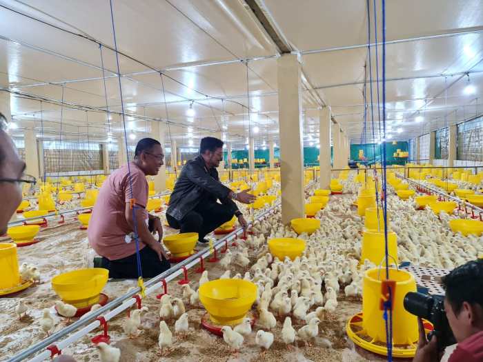 Gowa Jadi Lokasi Pengembangan Peternakan Ayam Broiler - Bonepos.com