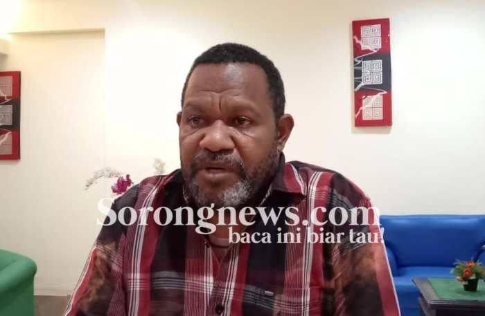 Jhon Jitmau Yakin Pemekaran Maybrat Sau Dapat Cegah Konflik di Maybrat ... Daun penggemuk ayam di Ayamaru Jaya, Kab. Maybrat