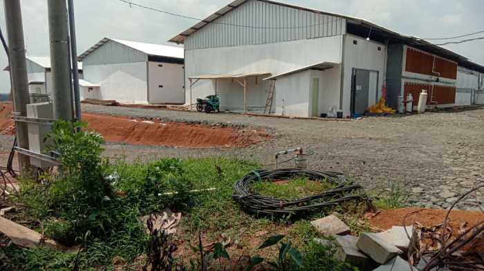 Bangunan Kandang Ayam di Kabupaten Lebak Diduga Tak Berizin – cnnbanten.id Daun penggemuk ayam di Cilograng, Kab. Lebak