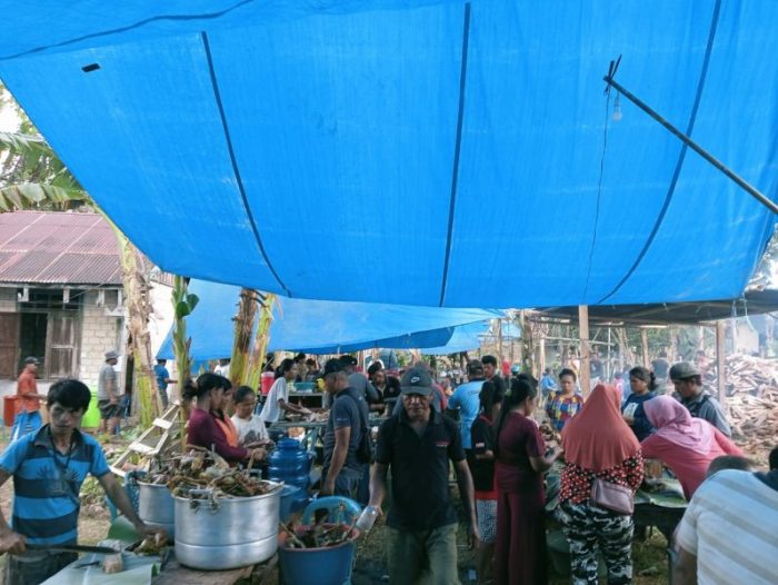 Daun penggemuk ayam di Tongkuno, Muna