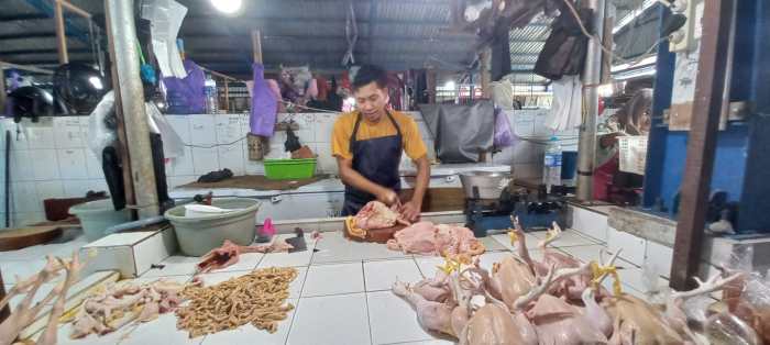 Ayam layer di Pasar Muara Bungo, Kabupaten Bungo