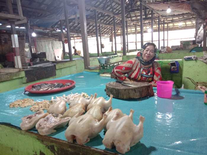 Daun penggemuk ayam di Pelaihari, Tanah Laut