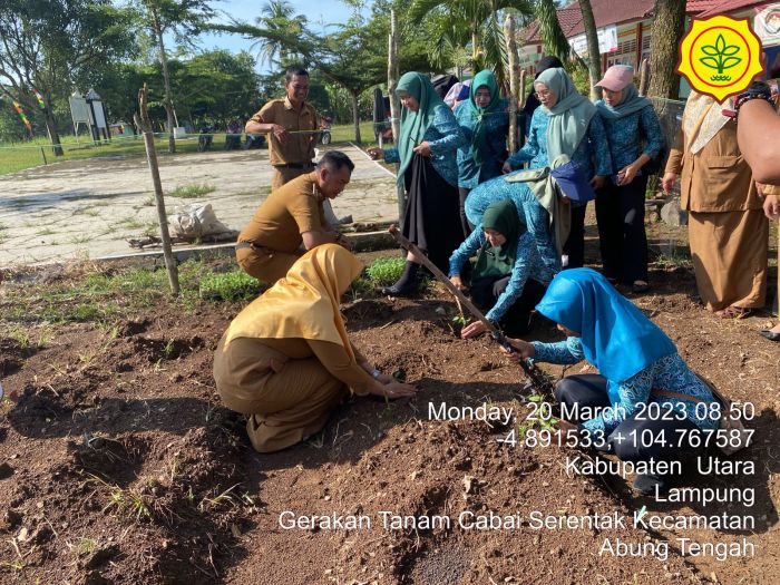 Budidaya ayam di Abung Tinggi, Lampung Utara