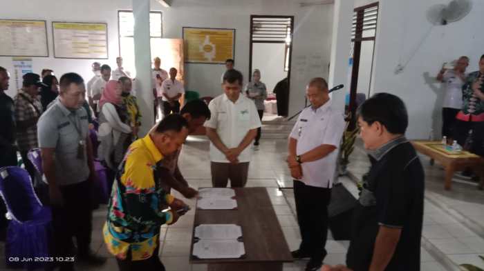 Peluang Bisnis: Mencoba Beternak Ayam Arab Peluang Bisnis: Mencoba Beternak Ayam Arab