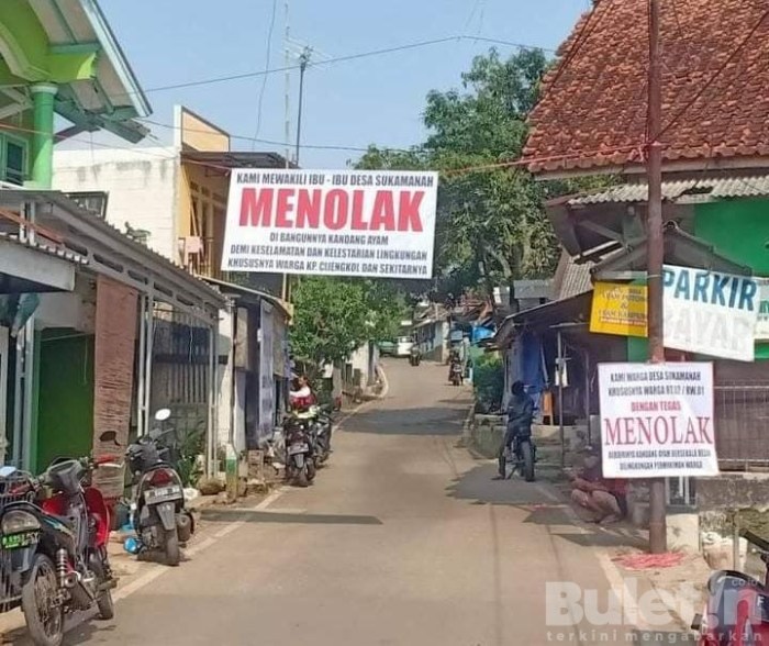 Jelang Lebaran Penjual Ayam Afkir Bermunculan di Belitung, Harga Ayam ... Jelang Lebaran Penjual Ayam Afkir Bermunculan di Belitung, Harga Ayam ...