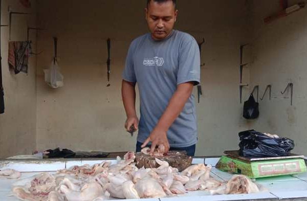 Daun penggemuk ayam di Banjarsari, Kab. Lebak