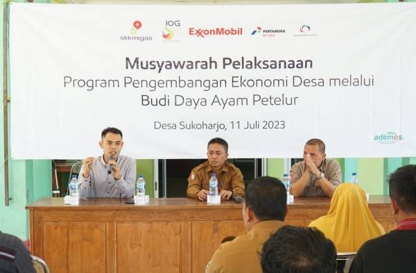 Bisnis Ternak Ayam Petelur Masih Menggiurkan | Jagat Sembilan