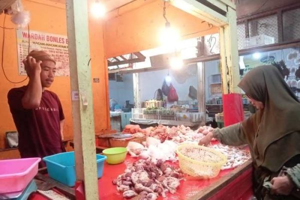 Harga Ayam di Karawang Naik 30 Persen, Disperindag : Bahan Pokok Stabil ...