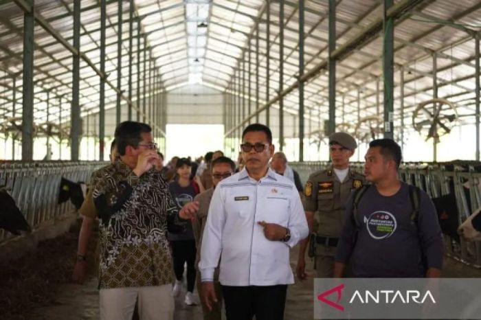 Bupati Solok : Sektor pertanian berperan besar dukung kemajuan ekonomi ... Bupati Solok : Sektor pertanian berperan besar dukung kemajuan ekonomi ...
