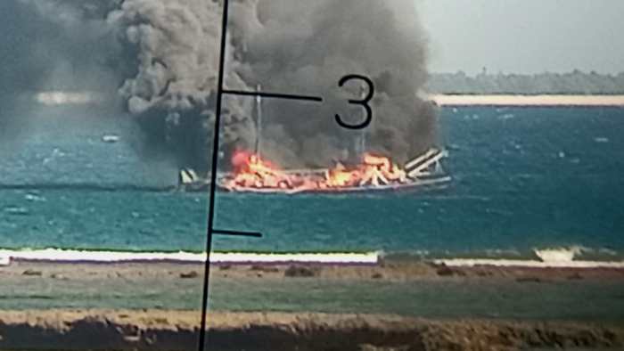 Daun penggemuk ayam di Rote Barat Laut, Rote Ndao
