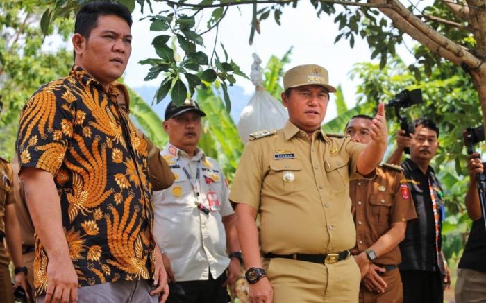 Pj. Bupati Lambar tnjau lahan tempat pembangunan dan pengembangan pasar ... Budidaya ayam di Lumbok Seminung, Lampung Barat
