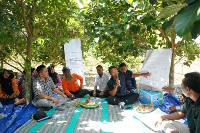 Inovasi Ternak Ayam Di Empang - Jagad Tani - Petaninya Milenial Inovasi Ternak Ayam Di Empang - Jagad Tani - Petaninya Milenial