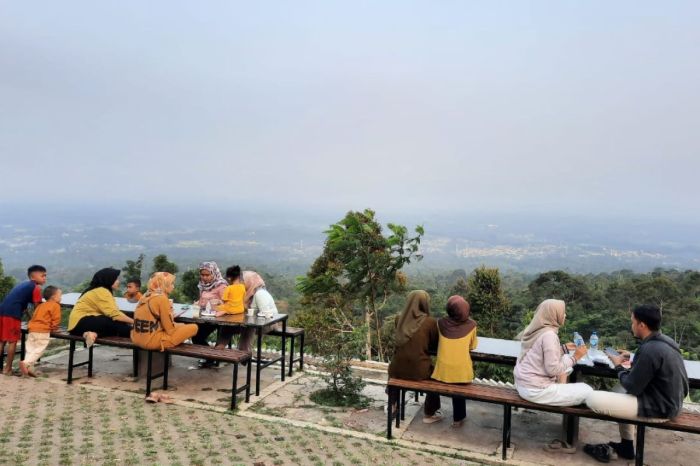 Wisata alam kampung domba di Pandeglang cocok untuk isi akhir pekan ...