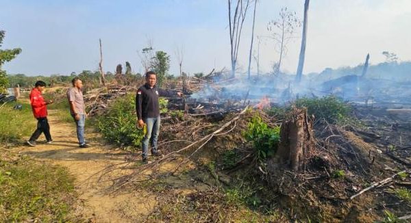Ayam layer di Bathin II Babeko, Kabupaten Bungo
