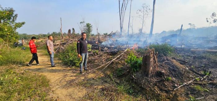 Polisi Tangkap Terduga Pelaku Pembakar Lahan di Babeko Ayam layer di Bathin II Babeko, Kabupaten Bungo