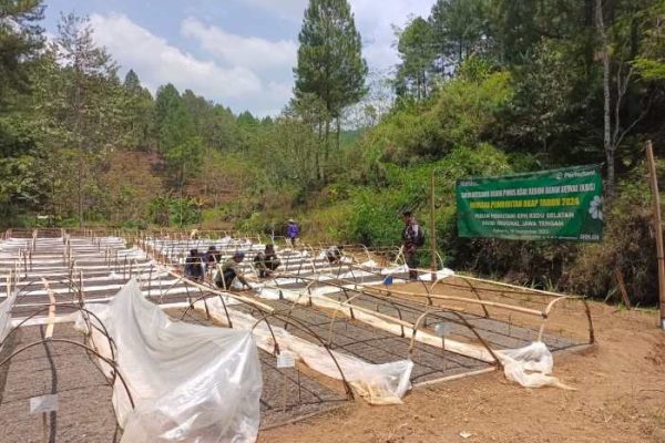 Budidaya ternak ayam di Kaliwiro, Wonosobo