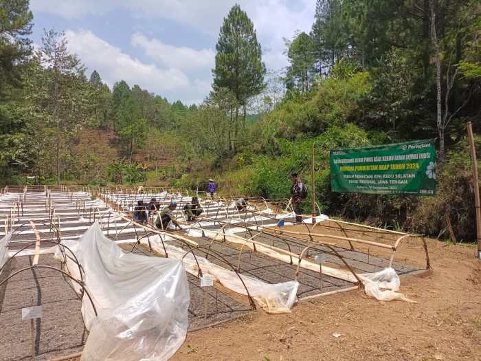 Budidaya ternak ayam di Kaliwiro, Wonosobo