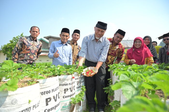Kegiatan Ujian Pendadaran,UKT anggota,Pelatih dan TC Aspel Mahatma di ... Kegiatan Ujian Pendadaran,UKT anggota,Pelatih dan TC Aspel Mahatma di ...