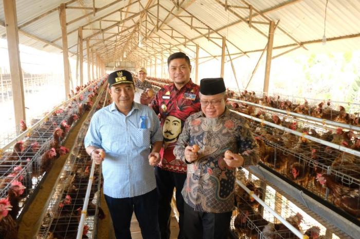 Potensi Besar Gowa di Sektor Peternakan, Manuju Jadi Kecamatan ... Peternakan ayam kampung di Bayan, Purworejo