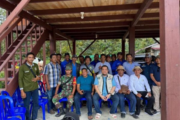 Daun penggemuk ayam di Balinggi, Paringi Moutong
