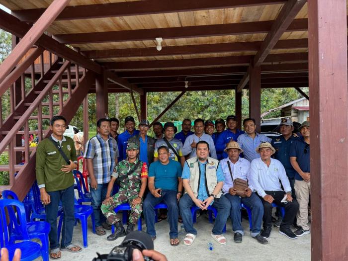 Daun penggemuk ayam di Balinggi, Paringi Moutong