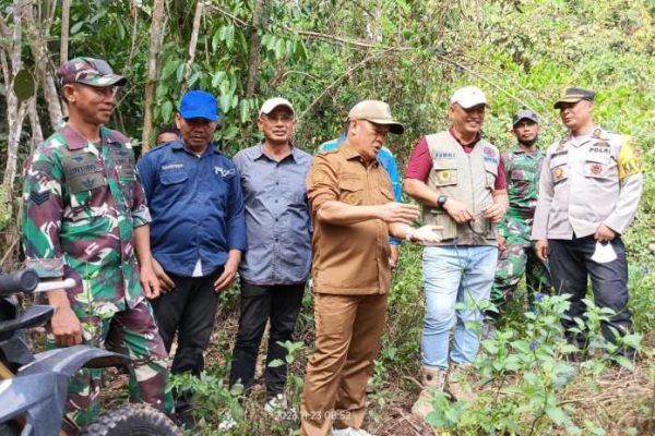 Daun penggemuk ayam di Latoma, Konawe