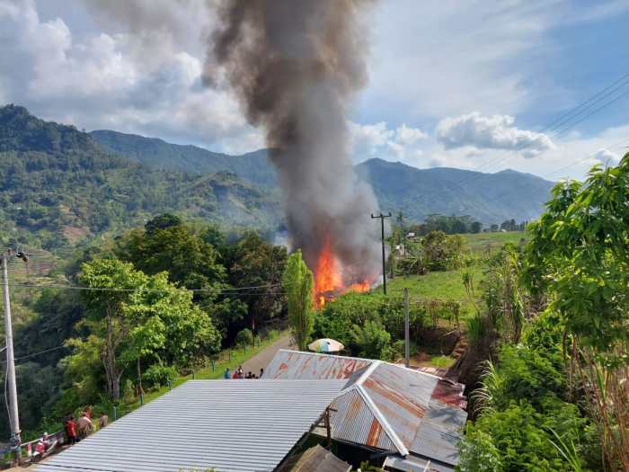Daun penggemuk ayam di Tombolo Pao, Gowa