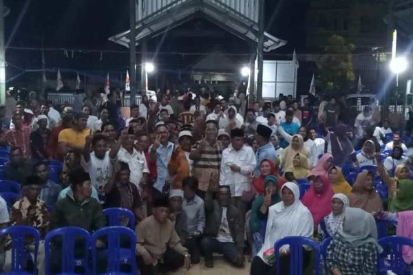 Daun penggemuk ayam di Maronge, Sumbawa