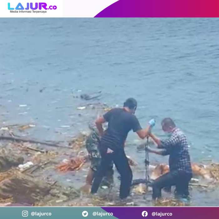 Daun penggemuk ayam di Lasusua, Kolaka Utara