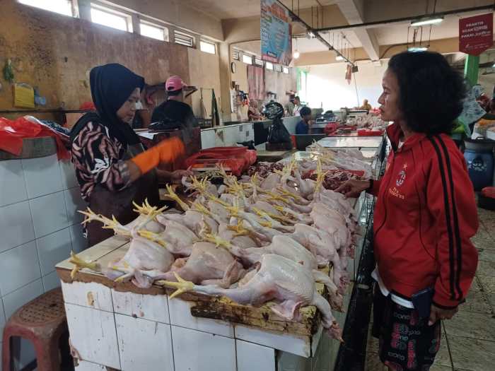 Awal Puasa, Harga Ayam Potong Naik Rp5 Ribu Per Ekor di Pasar Ciracas ... Harga ayam kampung potong di Tarogong Kaler, Garut