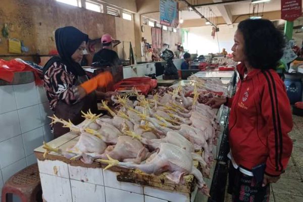 Harga daging ayam potong melonjak jelang pergantian tahun - ANTARA News