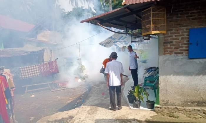Dinkes Tanggamus Fogging Area Rawan Demam Berdarah di Bandar Negeri ... Budidaya ayam di Bandar Negeri Semuong, Tanggamus