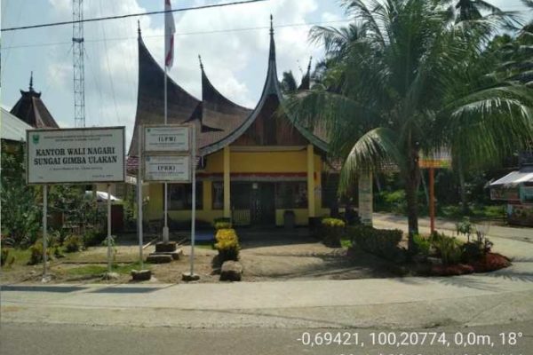 Ayam ternak di Ulakan Tapakis, Kabupaten Padang Pariaman