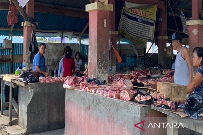 DPKH Mimika periksa ternak babi sebelum dijual di Pasar Sentral ... Ternak ayam petelur di Mimika Baru, Kab. Mimika