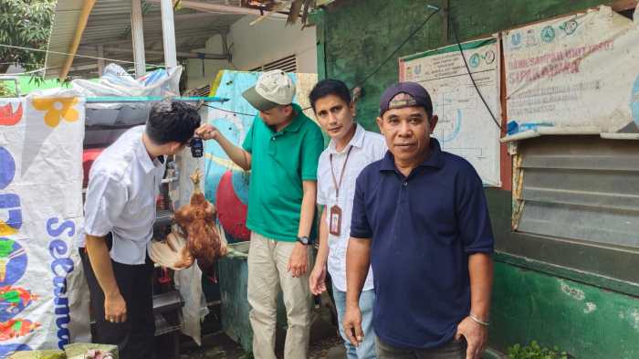Pemkot Makassar dan Praktisi Peternakan Galakkan Mini Farm Ayam Petelur ... Pemkot Makassar dan Praktisi Peternakan Galakkan Mini Farm Ayam Petelur ...