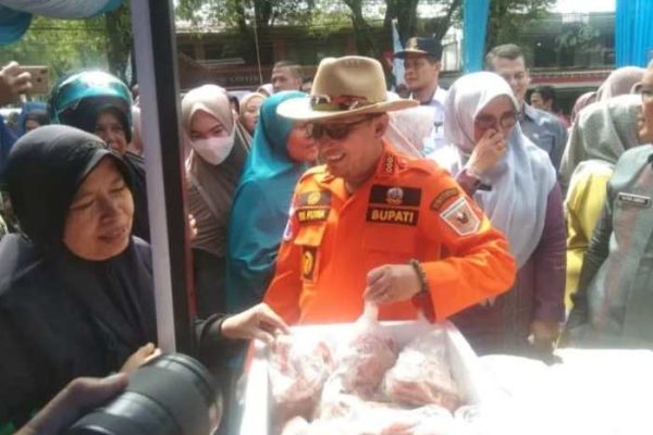 Budidaya ayam di Pariangan, Kabupaten Tanah Datar