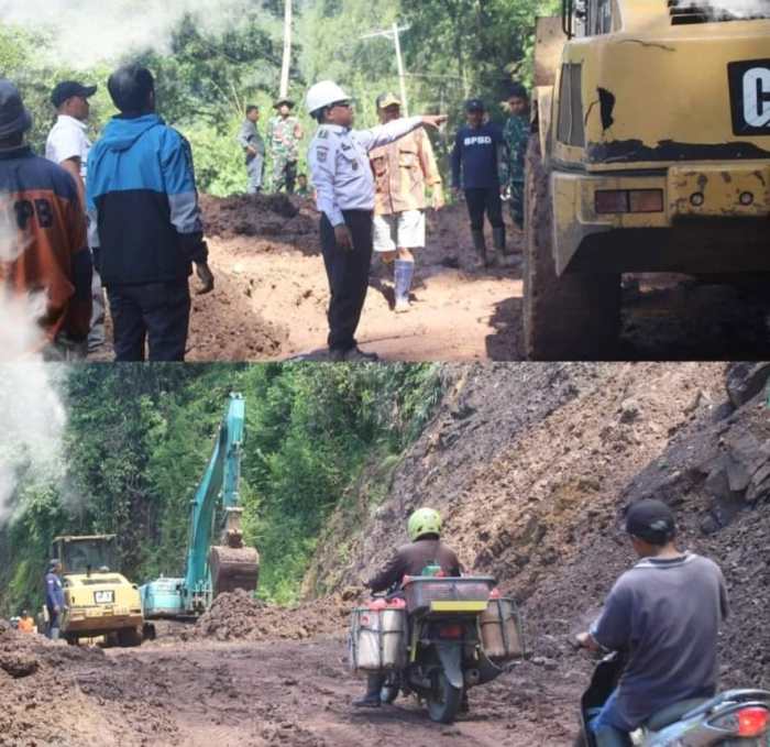 Daun penggemuk ayam di Balusu, Toraja Utara