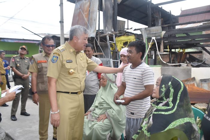 Daun penggemuk ayam di Watang Sawitto, Pinrang