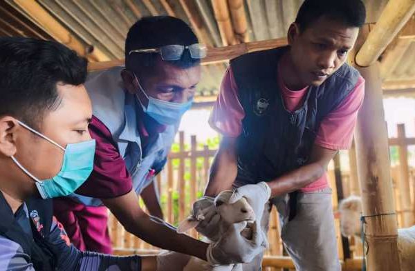 Daging kambing di Gading, Probolinggo