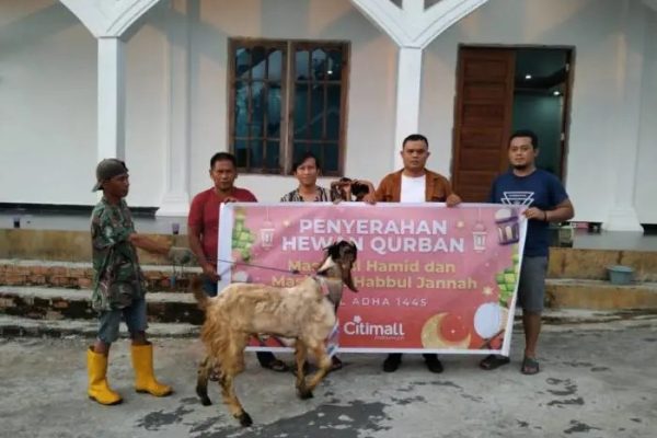 Daging kambing di Prabumulih Selatan, Kota Prabumulih