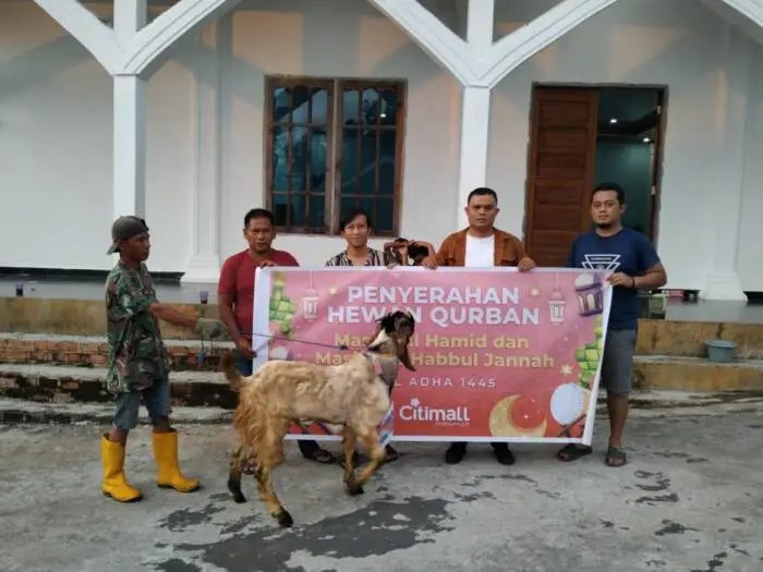 Daging kambing di Prabumulih Selatan, Kota Prabumulih