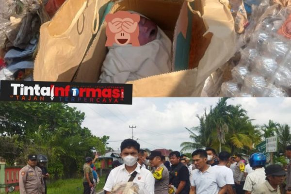 (PDF) Pengaruh Pendidikan dan Pengalaman Kerja Terhadap Kinerja Pegawai ...