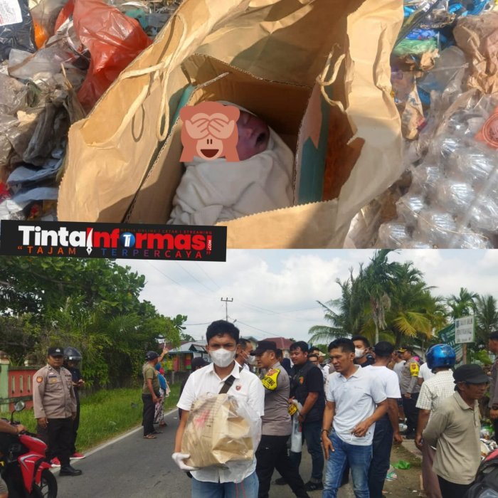 (PDF) Pengaruh Pendidikan dan Pengalaman Kerja Terhadap Kinerja Pegawai ... (PDF) Pengaruh Pendidikan dan Pengalaman Kerja Terhadap Kinerja Pegawai ...