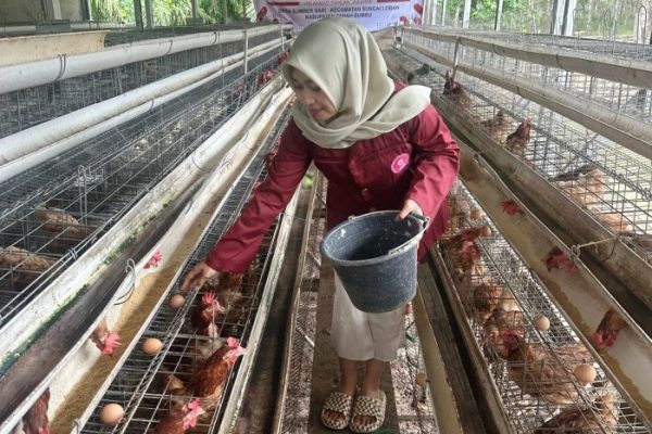 Dukung Misi Ketahanan Pangan, Mahasiswa ITB-AD di Tanah Bumbu Pacu ...