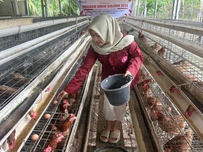 Dukung Misi Ketahanan Pangan, Mahasiswa ITB-AD di Tanah Bumbu Pacu ... Dukung Misi Ketahanan Pangan, Mahasiswa ITB-AD di Tanah Bumbu Pacu ...