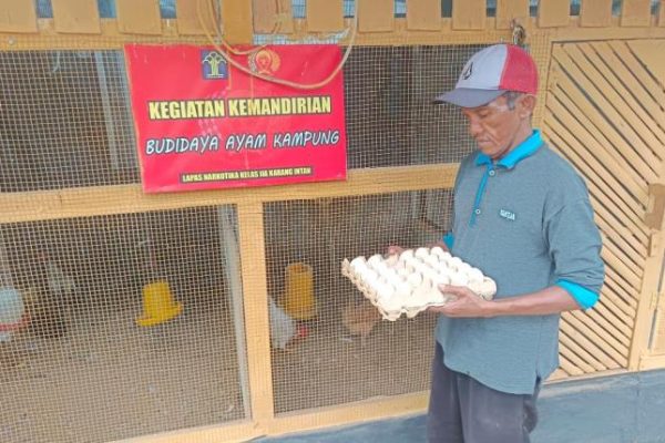 Ternak ayam kampung di Karang Intan, Banjar