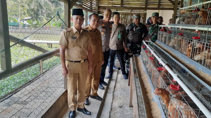 Dukung Program Pusat dan Daerah Ketapang Desa Kemang Budi Daya Ayam ...