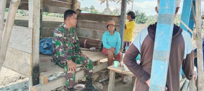 Daun penggemuk ayam di Mori Atas, Morowali Utara