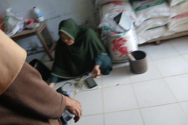 Ayam Ternak di Sosopan, Padang Lawas