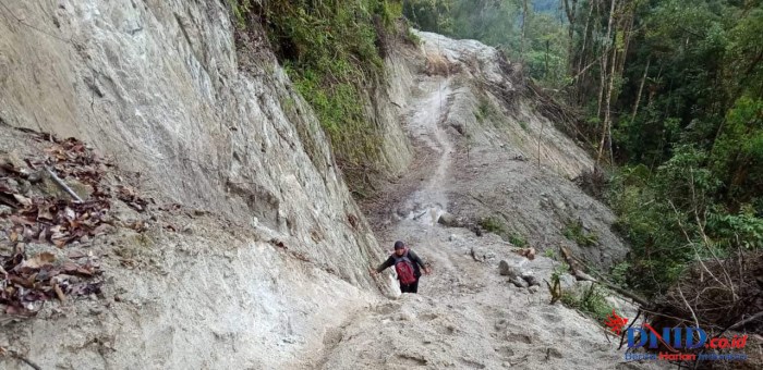 Daun penggemuk ayam di Rampi, Luwu Utara